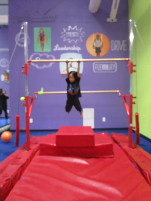 The Little Gym of Millbrae Picture 8