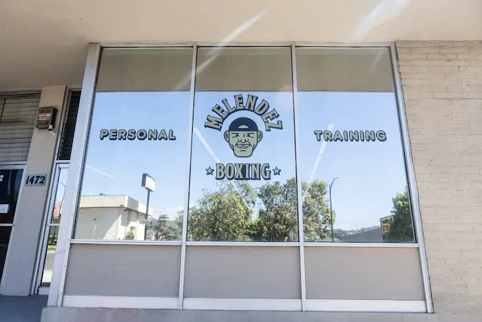 Melendez Boxing and Personal Training Picture 3