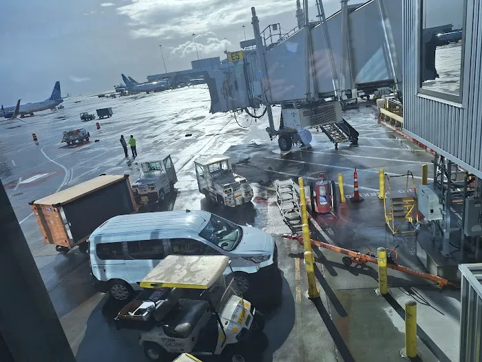 Yoga Room Picture 10