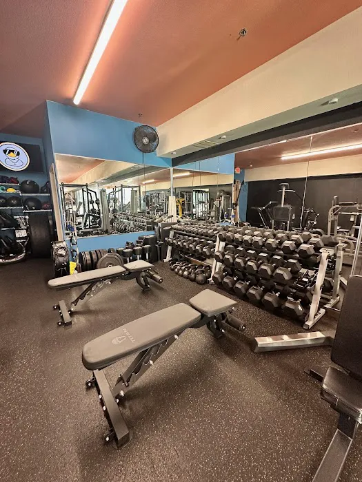 Chain Reaction Fitness & Nutrition Picture 6