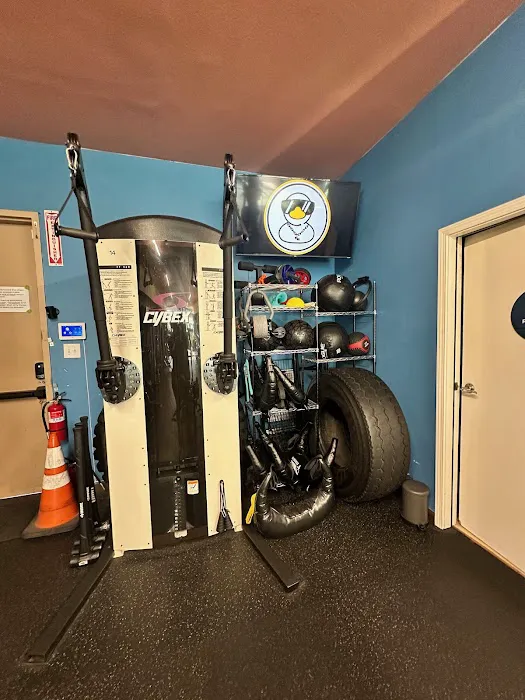 Chain Reaction Fitness & Nutrition Picture 10