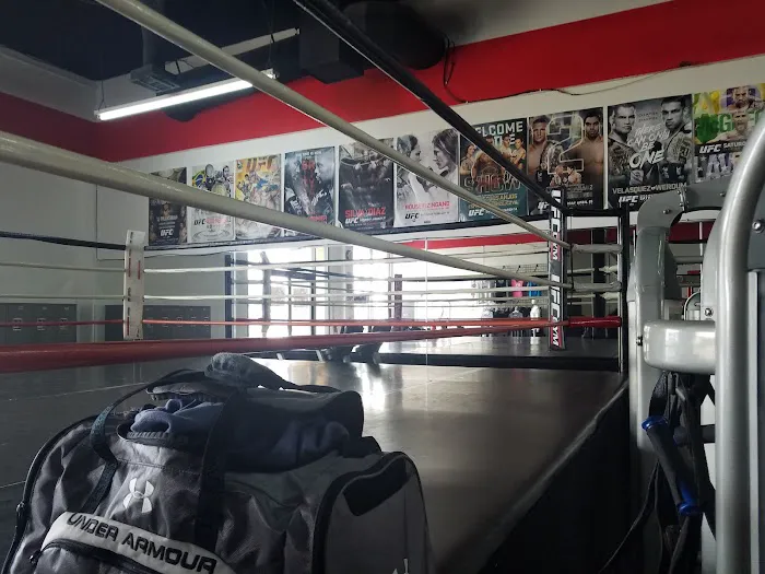 UFC GYM San Bruno Picture 3