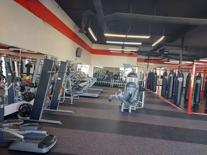 UFC GYM San Bruno Picture 7