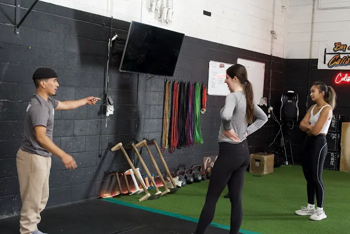 Bay Area Bars Calisthenics Picture 4