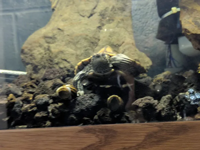 Redeefit Llc Picture 1