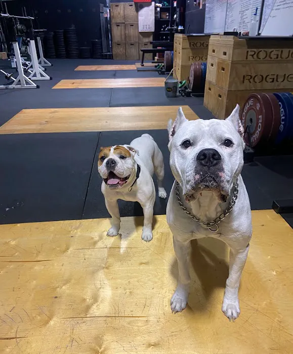 FullGrip Barbell Picture 4