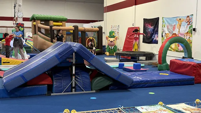 Gymtowne Gymnastics SSF Picture 1