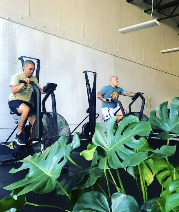 The Fitness Tech Picture 3