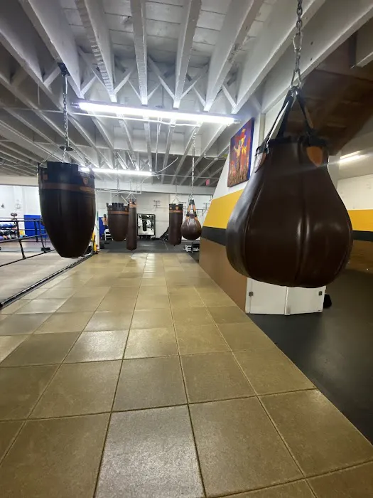 Solis Boxing Picture 9