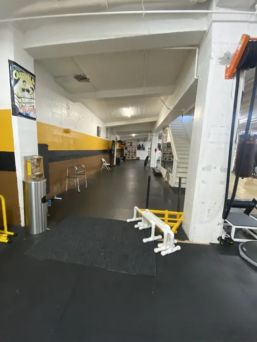 Solis Boxing Picture 5