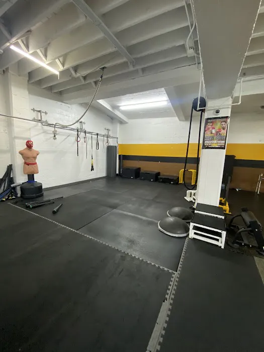 Solis Boxing Picture 2