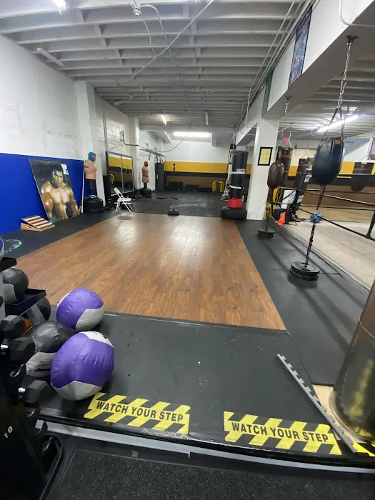 Solis Boxing Picture 7