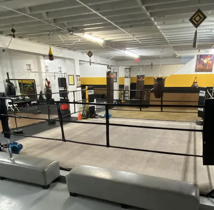 Solis Boxing Picture 3