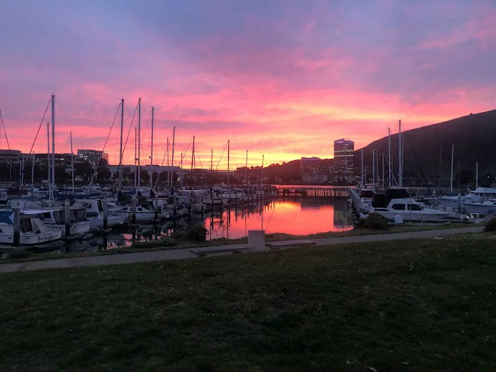 Rebels Elite SF Picture 2