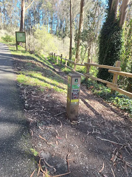 Old Guadalupe Ridge Trail Picture 10