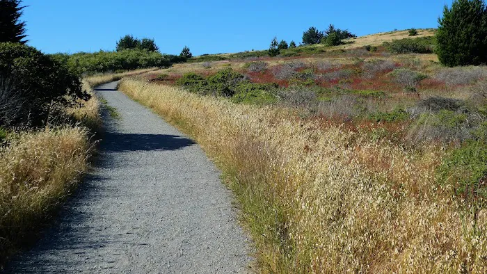Old Guadalupe Ridge Trail Picture 4