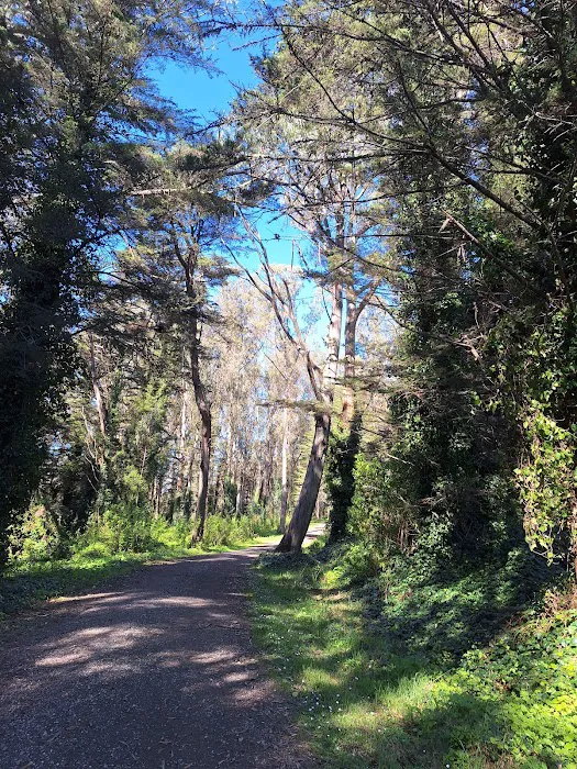 Old Guadalupe Ridge Trail Picture 2