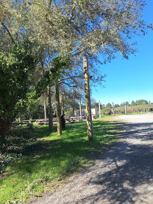 Old Guadalupe Ridge Trail Picture 6