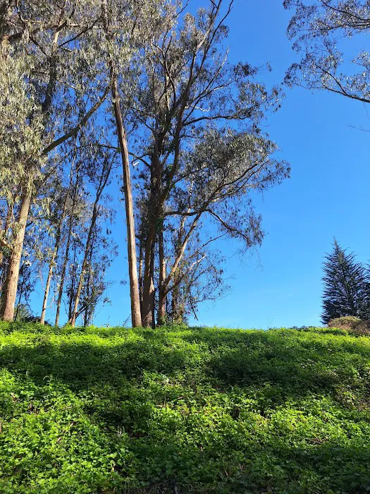 Old Guadalupe Ridge Trail Picture 1