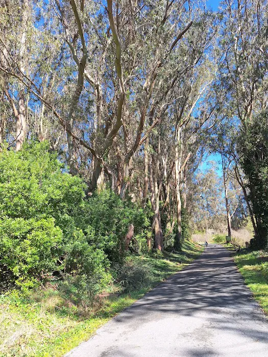 Old Guadalupe Ridge Trail Picture 3
