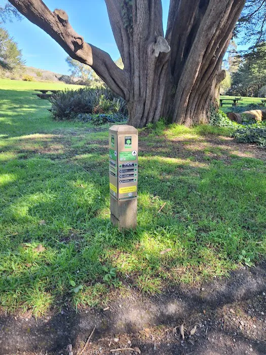 Old Guadalupe Ridge Trail Picture 7