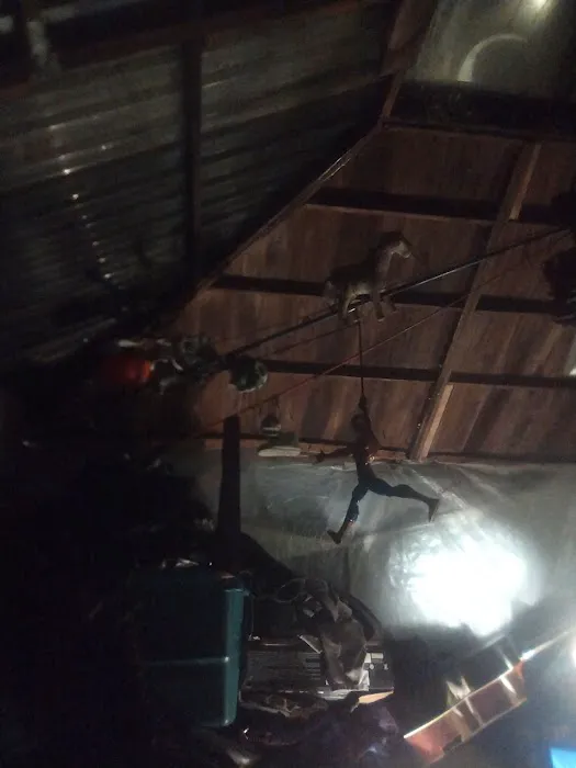 Pilates San Francisco Picture 3