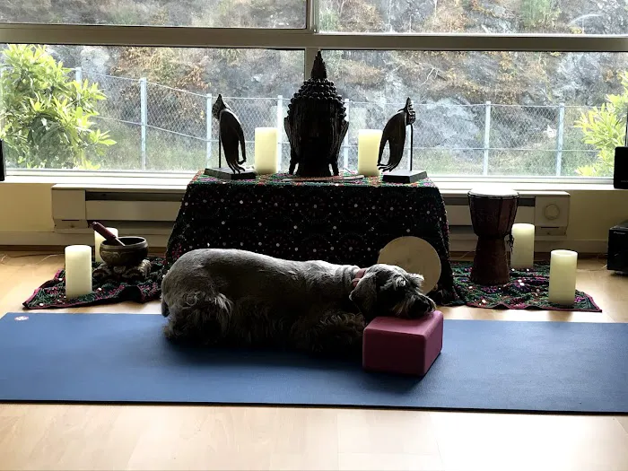 Armando Luna Yoga Picture 5