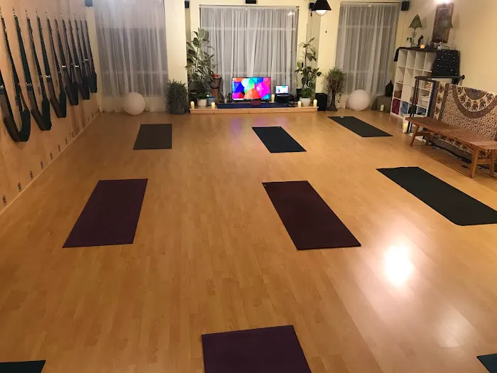 Armando Luna Yoga Picture 4