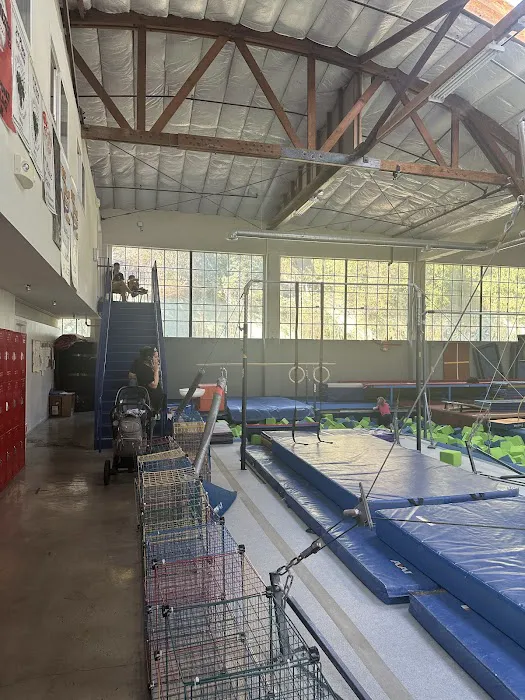 American Gymnastic Club Picture 2