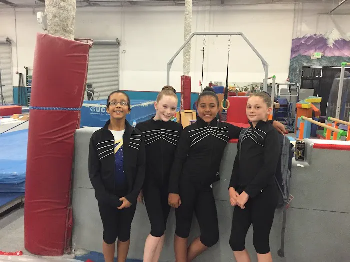 American Gymnastic Club Picture 7