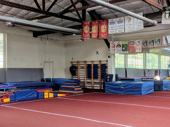 American Gymnastic Club Picture 8