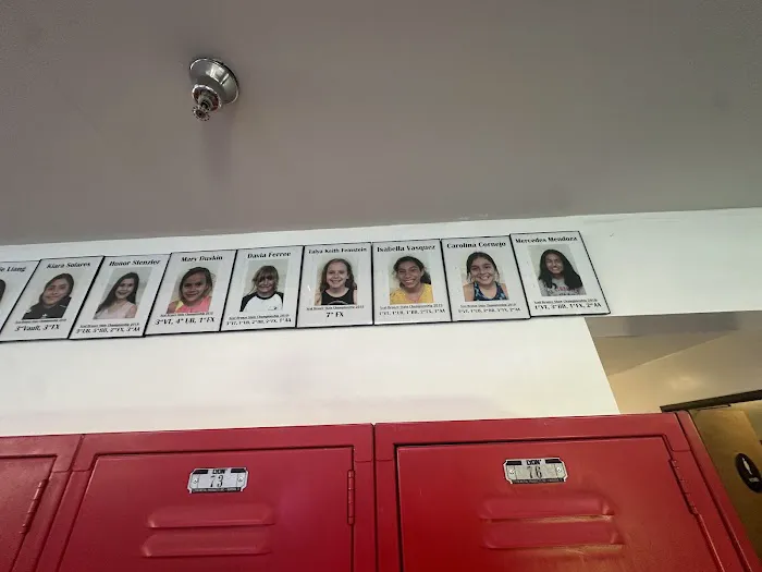 American Gymnastic Club Picture 4