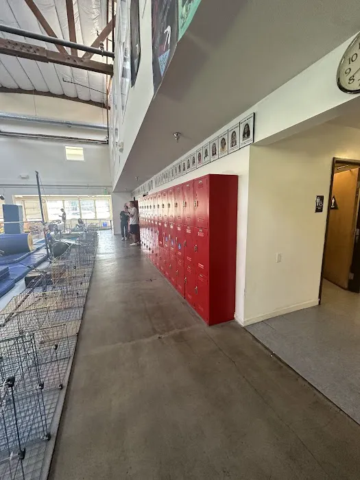 American Gymnastic Club Picture 1