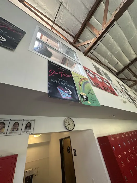 American Gymnastic Club Picture 6