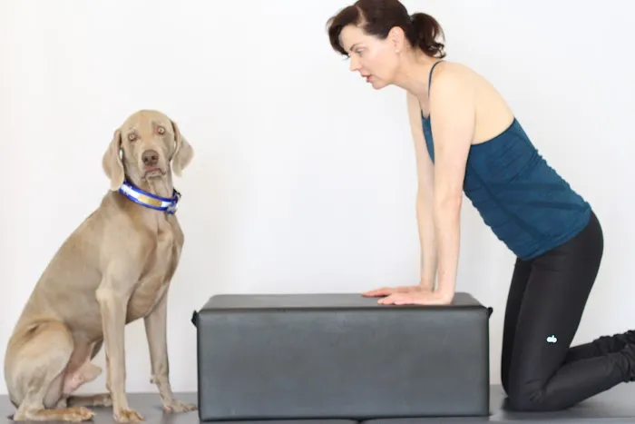 Synced Pilates Picture 4