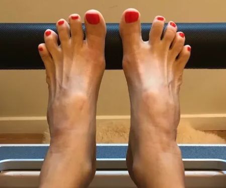 Red Kite Meditations