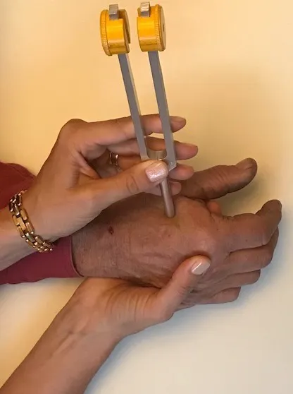 Red Kite Meditations Picture 3