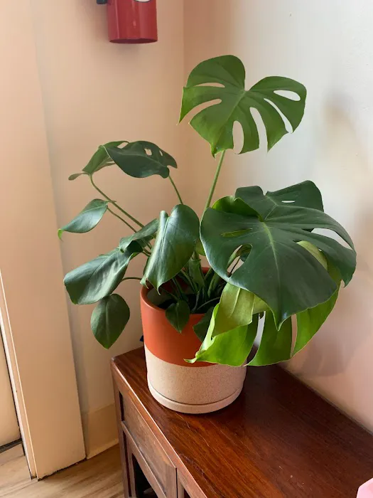 Pilates Story Picture 6