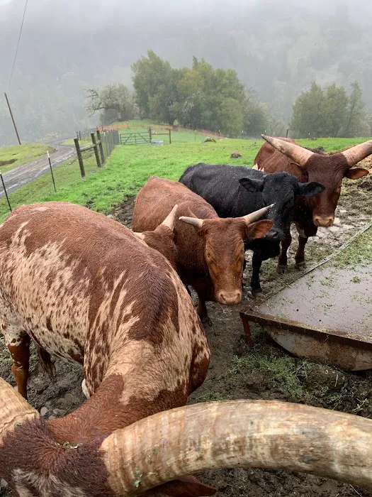 Pilates Story Picture 10