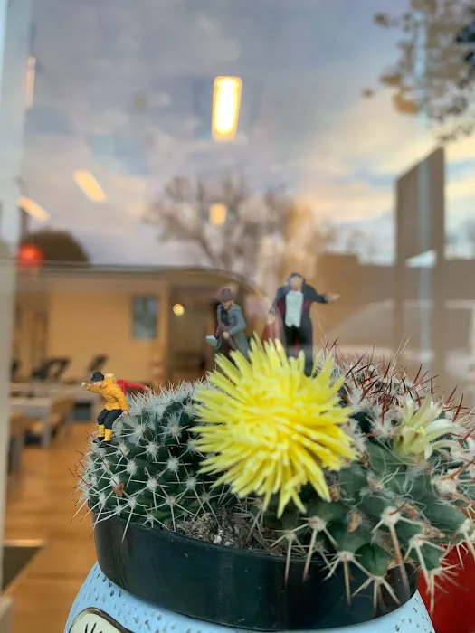 Pilates Story Picture 1