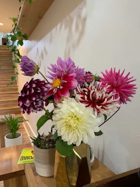 Pilates Story Picture 7