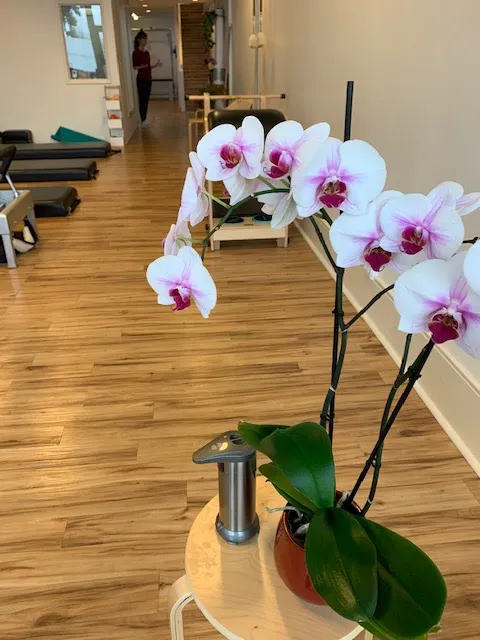 Pilates Story Picture 4