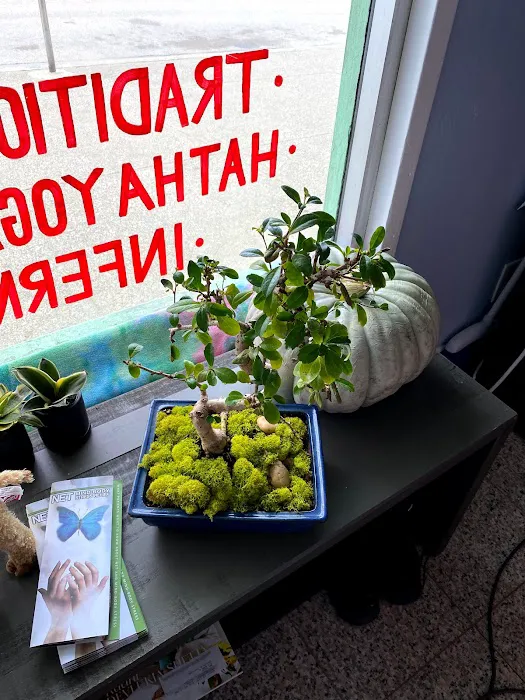 Sangha Hot Yoga Picture 4