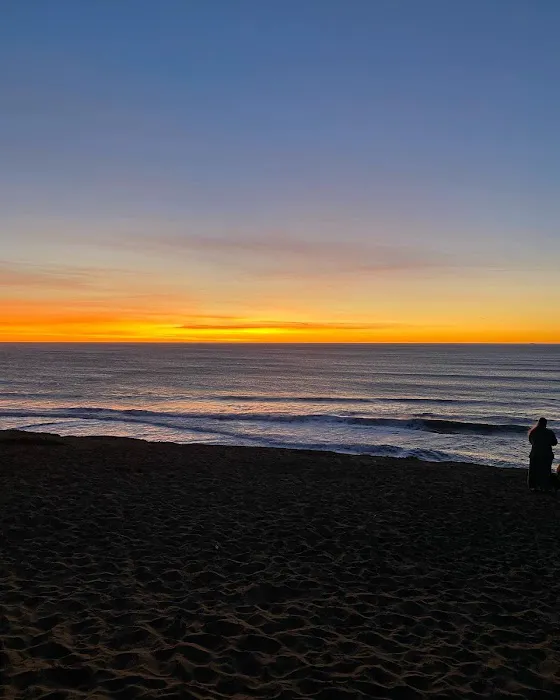 Sangha Hot Yoga Picture 3