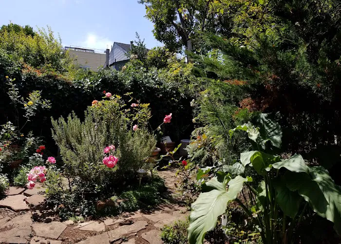 Yoga Society of San Francisco Picture 3