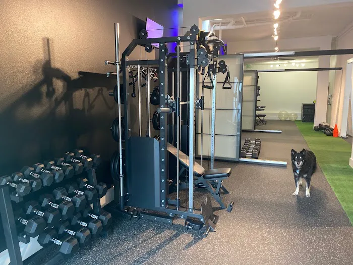 Todd Fitness Personal Training Picture 6