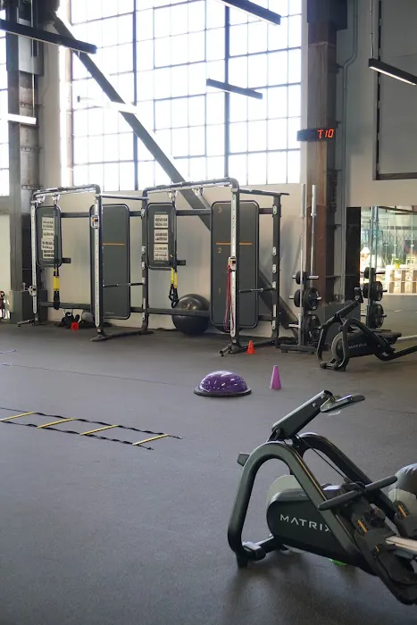 Bay Fitness Picture 8