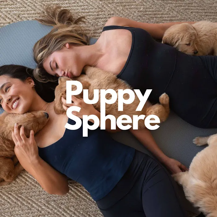 Puppy Sphere | Puppy Yoga (San Francisco) Picture 1