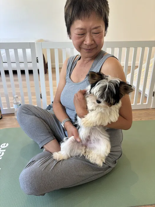 Puppy Sphere | Puppy Yoga (San Francisco) Picture 7