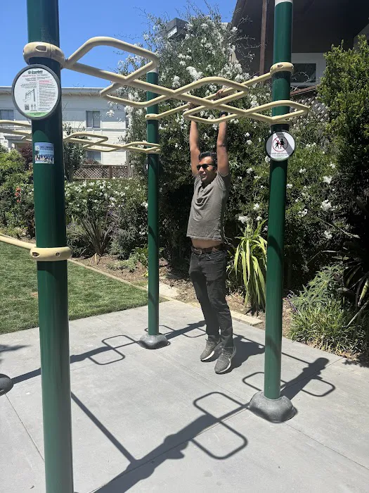 Workout Bars Picture 1